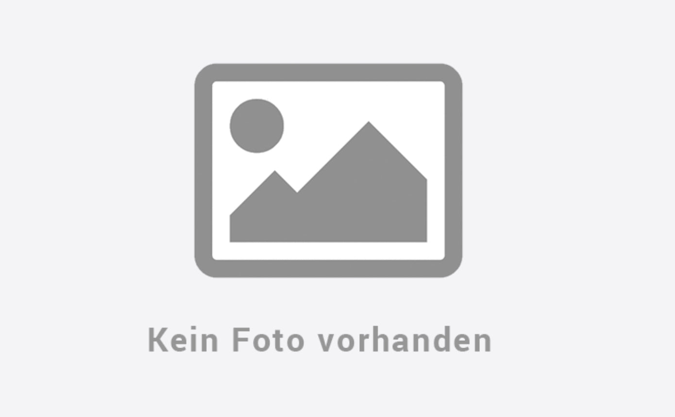 Leiter für Dachzelt 2m