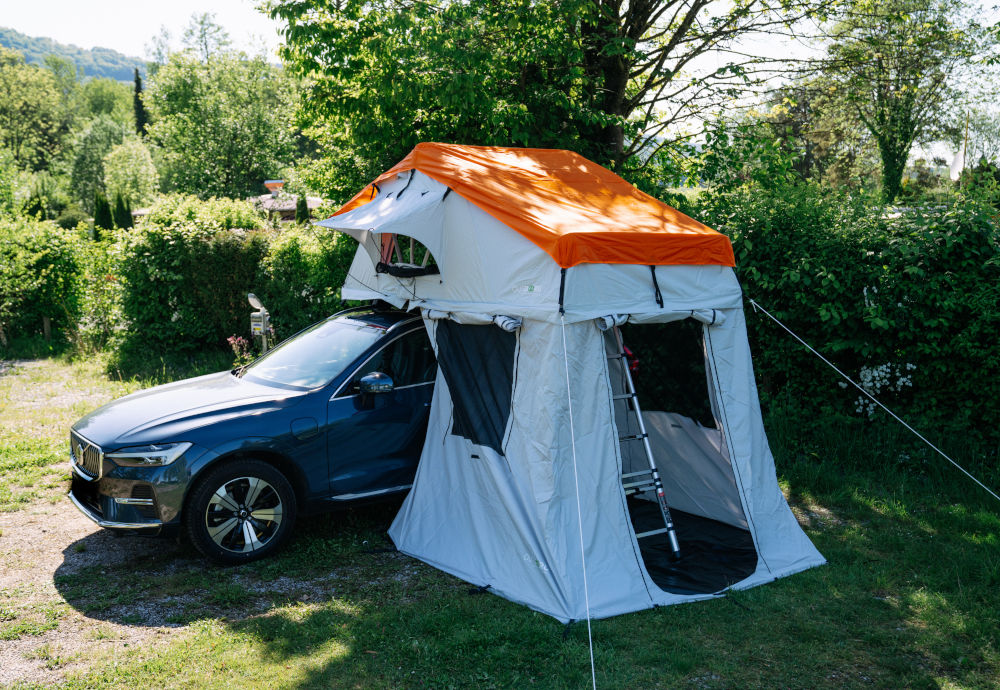 Family Plus Flex 25